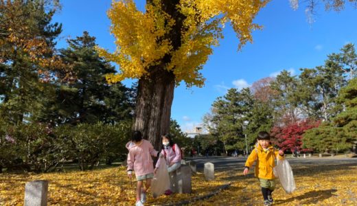 京都御苑で秋見つけ♪